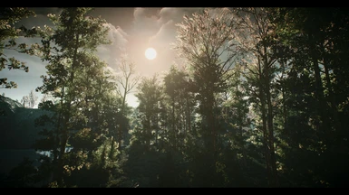 Visual Enhanced cinetest_forest4