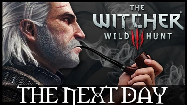 WITCHER 3 THE NEXT DAY