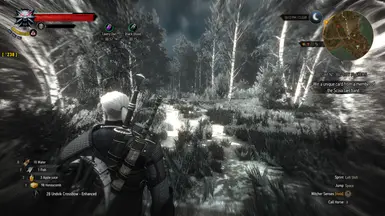 witcher3 2016 02 18 18 49 11 796