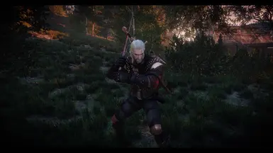 Wolf1