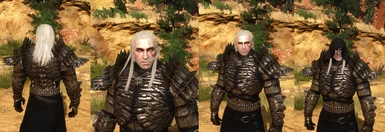 Geralt long hairs