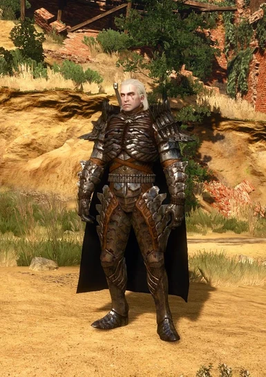 the witcher 3 armor mods