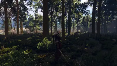 witcher3 2016 05 17 18 14 20 88