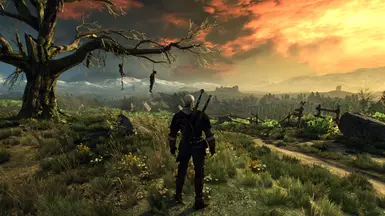 witcher3 2016 05 17 18 07 35 92