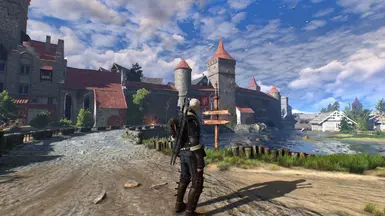 witcher3 2016 05 17 18 07 07 28