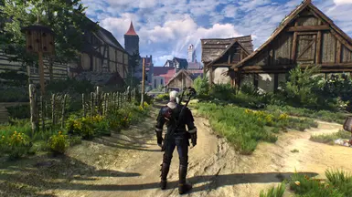 witcher3 2016 05 17 18 06 03 49
