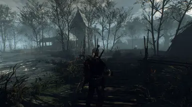 witcher3 2016 05 17 18 10 40 51