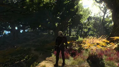 witcher3 2016 05 17 18 17 08 16