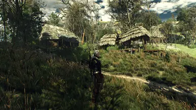 witcher3 2016 05 17 18 10 02 13