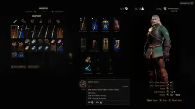 witcher3 2015 10 23 22 39 40 34