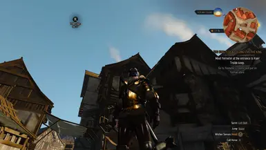 witcher3 2016 04 21 21 45 51 48