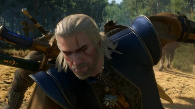 Geralt in action
