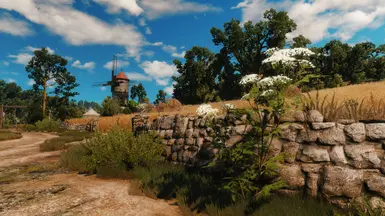 Wild Hunt Re-Imagined ReShade