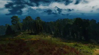 Storm is coming