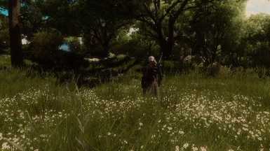 This mod_and_Wild Hunt ReImagined_ReShade