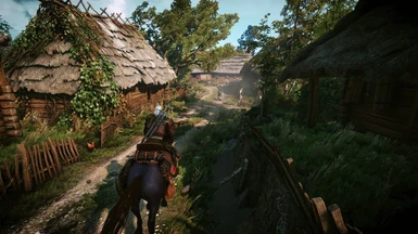 DNA Extreme V4.0 at The Witcher 3 Nexus - Mods and community