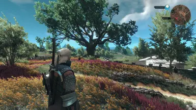 Witcher3 Highpitche FX Day