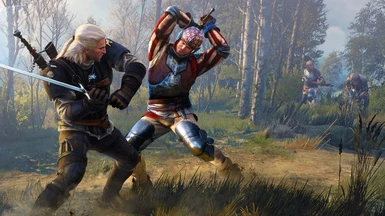 how to counter attack witcher 3