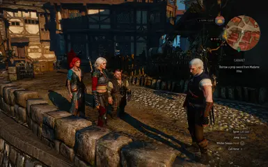 witcher 3 mods installieren gog