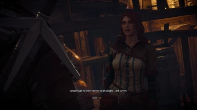Triss new look and Triss Witcher 2 outfit