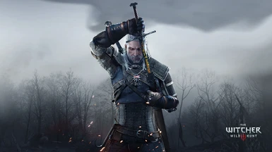 Geralt sword size 1920x1080
