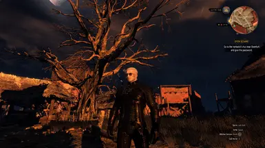 Witcher 3 Save