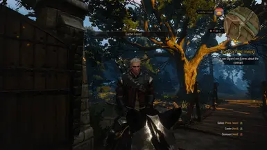 IN-GAME