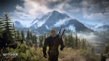 The Witcher: Extreme Immersion Mod - Mod DB
