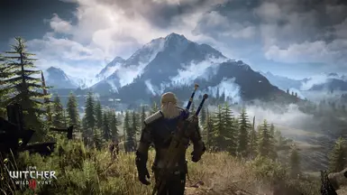 Faster Movement for Geralt at The Witcher Nexus - mods and community