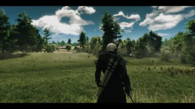 witcher3 2016 09 03 16 48 46 88