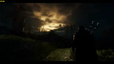 witcher3 2016 09 06 10 53 49 80