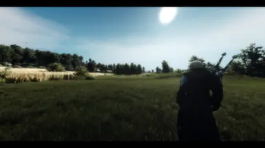 witcher3 2016 09 04 17 03 03 30