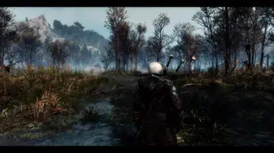 witcher3 2016 09 04 17 09 58 04