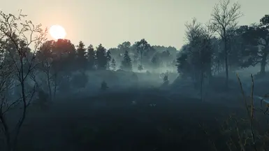 Fog in Velen 6.1