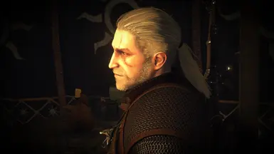 Download Witcher 1 Geralt face for witcher 2 for The Witcher 2