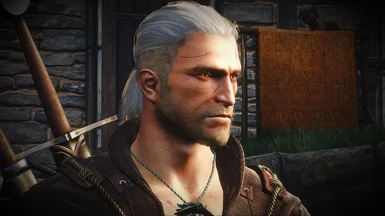 Abandoned The Witcher 2 Geralt Face Converted Read Desc