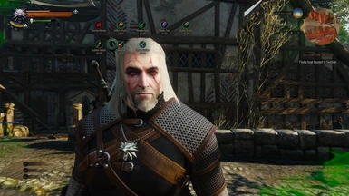Witcher 2 Potion Length Mod - The Witcher 3: Wild Hunt
