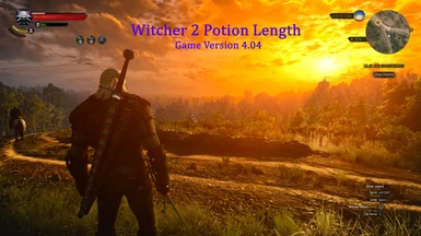 Witcher 2 Potion Length