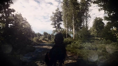 The Witcher 3 10 11 2016   23 05 45 02 mp4 snapshot 00 41  2016 10 11 23 37 59 