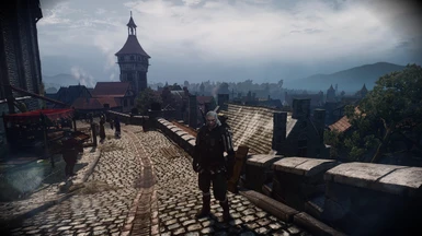 The Witcher 3 10 11 2016   23 05 45 02 mp4 snapshot 07 05  2016 10 11 23 35 45 