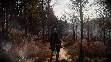 The Witcher 3 10 11 2016   23 05 45 02 mp4 snapshot 08 35  2016 10 11 23 36 07 