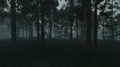 Realistic Weather White Orchard Storm 3
