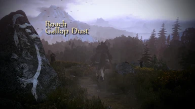 Roach Gallop Dust
