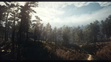 The Witcher 3 Screenshot 2017 04 06   21 30 47 31   Copy