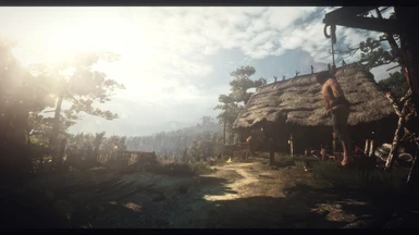 The Witcher 3 Screenshot 2017 04 06   21 31 03 27   Copy