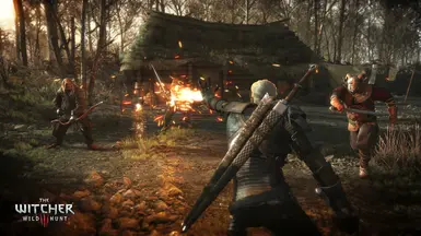 The Witcher GAME MOD Full Combat Rebalance v.1.6a - download