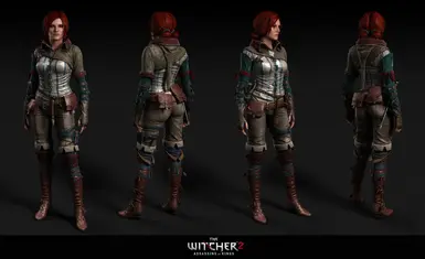 Witcher 3 Save Import - Roche And Triss Path at The Witcher 2 Nexus - mods  and community