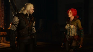Witcher 3 Save Import - Roche And Triss Path at The Witcher 2 Nexus - mods  and community