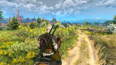 Novigrad 1 OFF