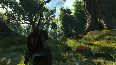 Wilderness 1 OFF